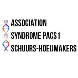 Association Syndrome PACS1 - Schuurs-Hoeijmakers